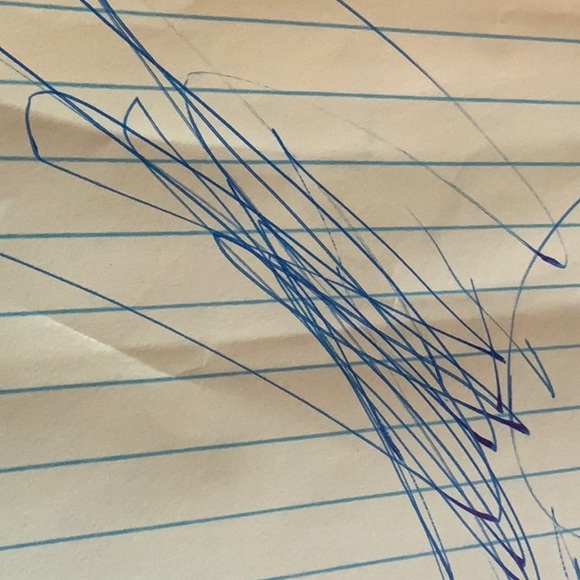 Meet your Posher, Nancy - Picture 1 of 1